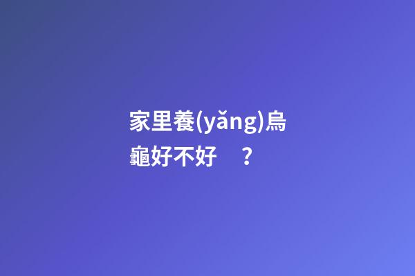 家里養(yǎng)烏龜好不好？